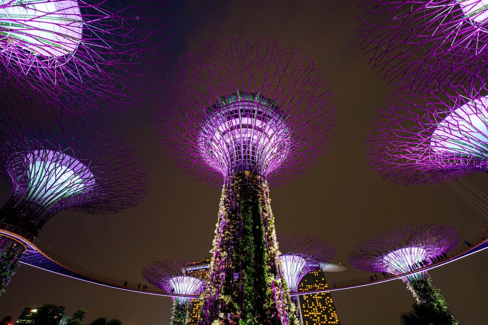 From Black Box to Glass Box: Why Singapore's Finance Teams Are Demanding AI They Can Audit